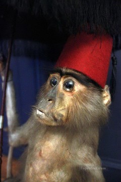  rote Kunst - kleinen Affen mit rotem Hut